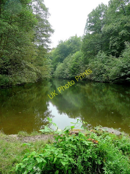 Photo 6"x4" Soudley Lower Pond 3 Grange Village c2009