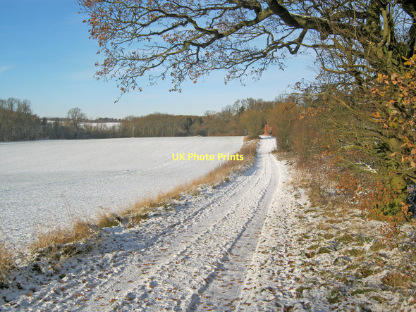 Photo 6"x4" Kennel Lane Newstead\/SK5152 c2010