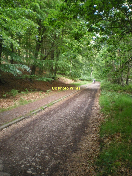 Photo 6"x4" Looking down Kitbag Hill Pye Green c2011