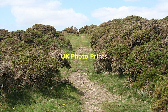 Photo 6"x4" South Brent: Zeal Tor tramway Didworthy c2011