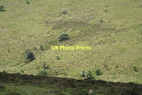 Photo 6"x4" South Brent: Old Hill Didworthy c2011