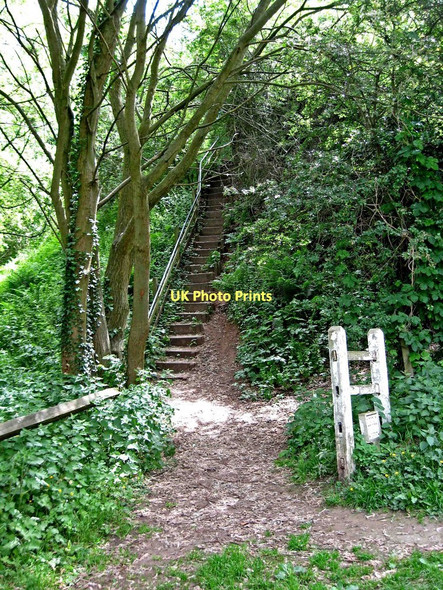 Photo 6"x4" Steps from Timber Lane to Leapgate Country Park, Stourport-on-Severn Stourport-on-Severn c2011