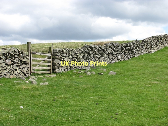 Photo 6"x4" Gate, Winkston Hill Mailingsland c2011