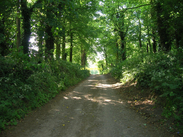 Photo 6"x4" Track to Paull Holme Paull c2011