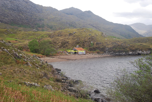 Photo 6"x4" Sheep Fank and Shed Tarbet\/NM7992 c2011