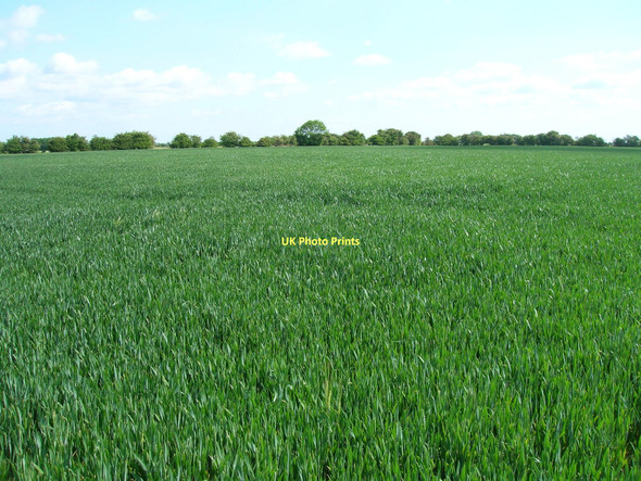Photo 6"x4" Farmland off Marsh Road Berrygate Hill c2011