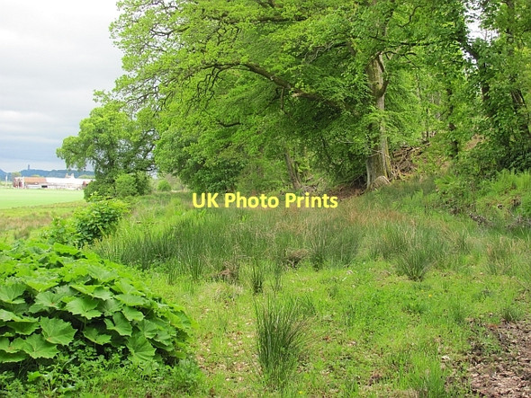 Photo 6"x4" Old Military Road Gargunnock c2011