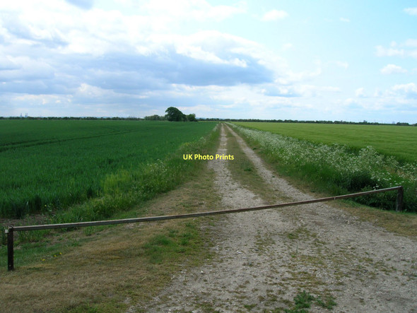 Photo 6"x4" Farm Track off Stone Creek Sunk Island c2011