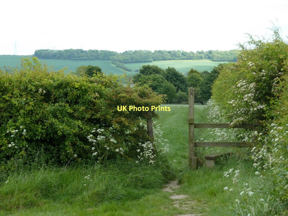 Photo 6"x4" Footpath to Heath Heath\/SK4466 c2011