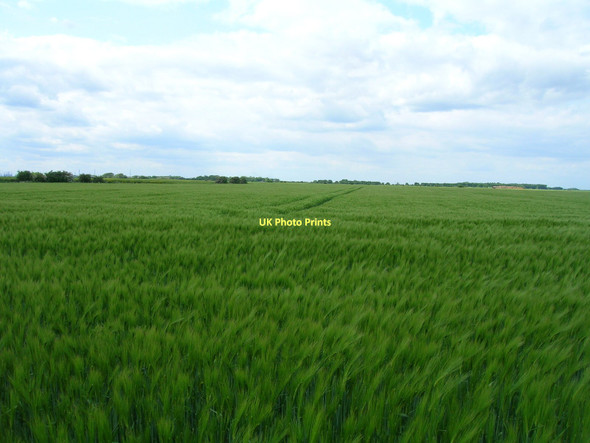 Photo 6"x4" Farmland west of Ottringham Drain Sunk Island c2011