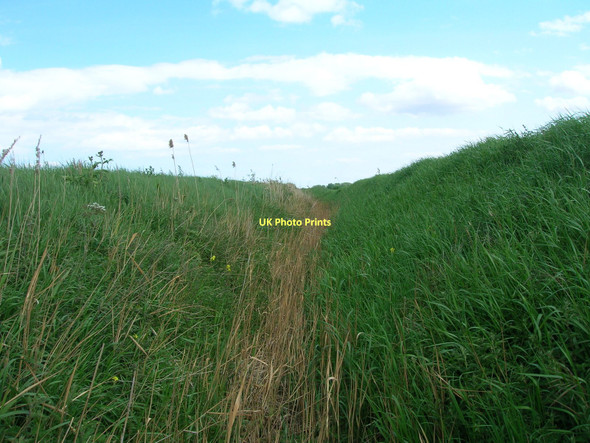 Photo 6"x4" Dry drainage ditch beside Marsh Road Berrygate Hill c2011