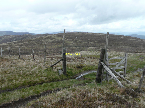 Photo 6"x4" Derelict gate Fearnan c2011