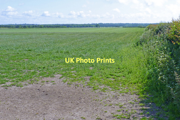 Photo 6"x4" Farm Land to the East of Burton Christchurch\/SZ1592 c2011