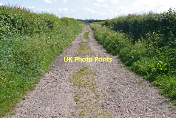 Photo 6"x4" Hill Lane, off Hawthorn Road Christchurch\/SZ1592 c2011