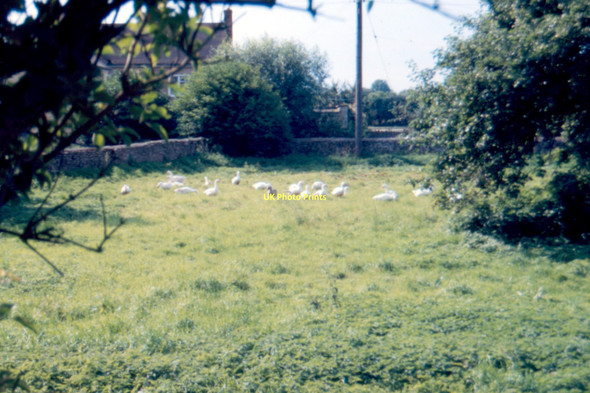 Photo 6"x4" Thrupp - 1987 Kidlington c1987