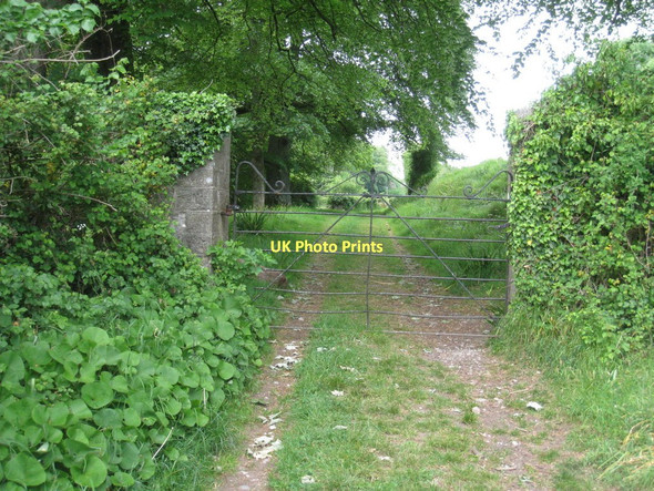 Photo 6"x4" The beginning of the path to Tornewton Torbryan c2011