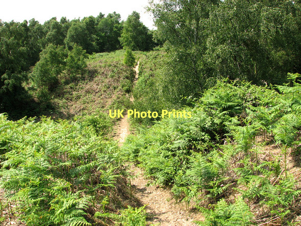 Photo 6"x4" Sandy path through Herringfleet Hills St Olaves c2011