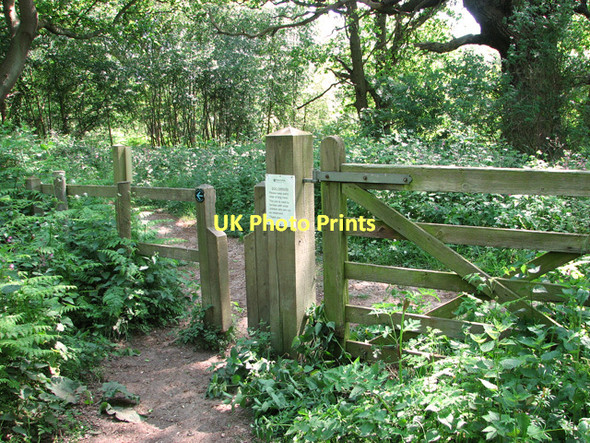 Photo 6"x4" Footpath junction in Herringfleet Hills Herringfleet c2011