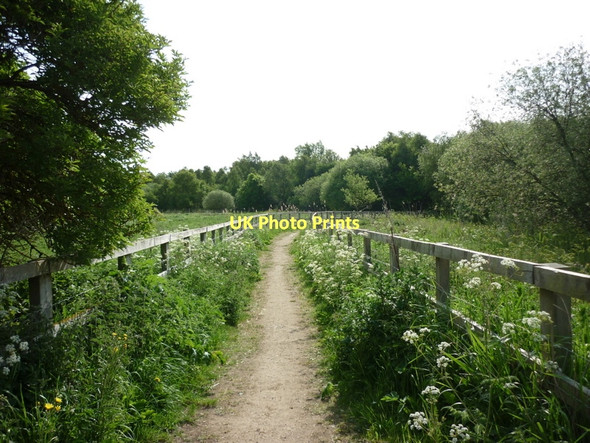 Photo 6"x4" A path leading to Thorn Moor Moorends c2011