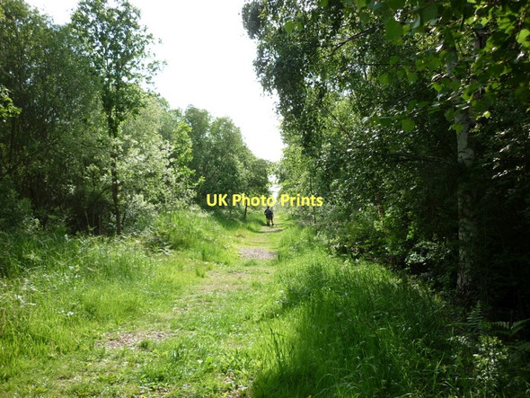 Photo 6"x4" Entering Thorne Moor Moorends c2011