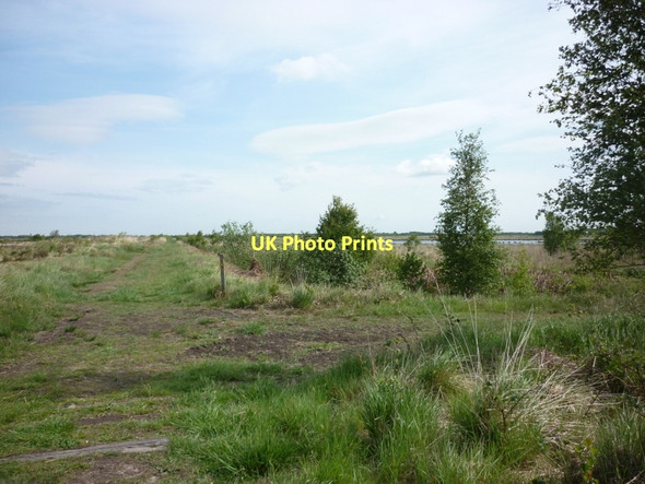 Photo 6"x4" A junction of paths on Thorne Moor Moorends c2011
