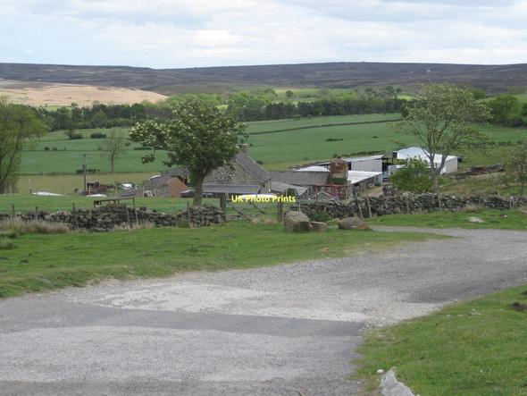 Photo 6"x4" Brow House Farm Goathland c2011