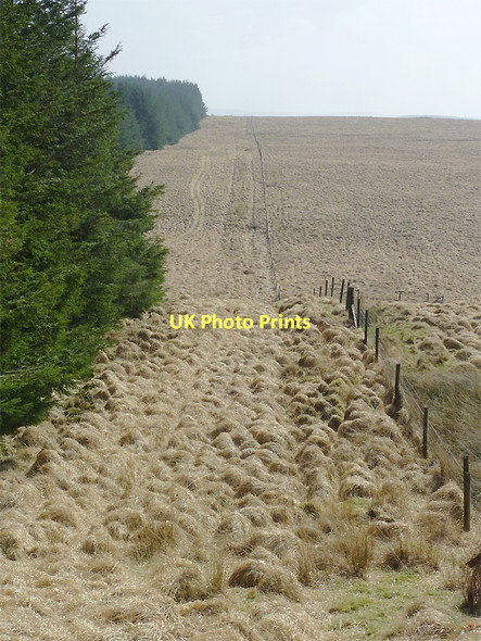 Photo 6"x4" Moorland and forest north-west of Soar-y-Mynydd, Ceredigion Gouallt c2011