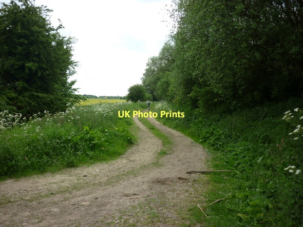 Photo 6"x4" A farm track on North Moor, Isle of Axholme Woodhouse\/SE7808 c2011
