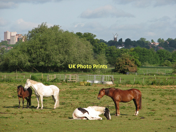 Photo 6"x4" River meadows near Adbolton West Bridgford c2011