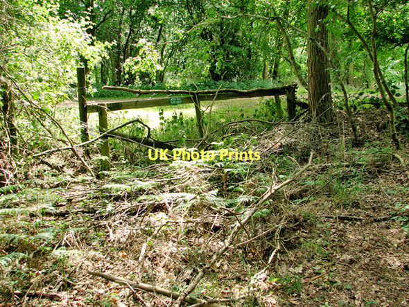 Photo 6"x4" East Suffolk line through Waveney Forest - gate by the Roundhouse Fritton\/TG4600 c2011