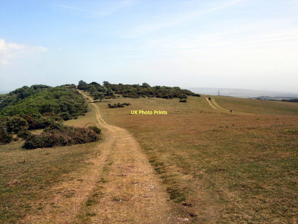 Photo 6"x4" Path near Blackcap Plumpton\/TQ3613 c2011