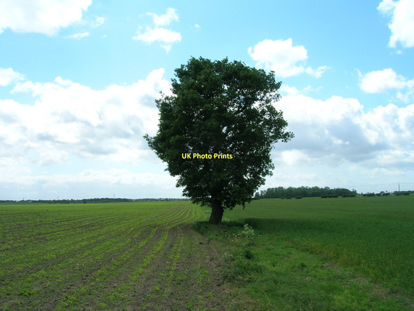 Photo 6"x4" Field boundary, Auckley Common Auckley c2011