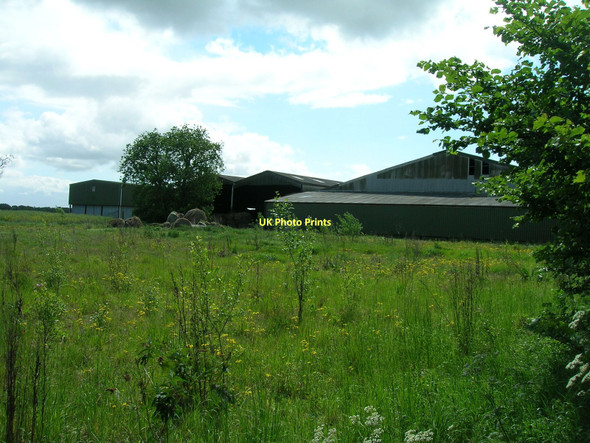 Photo 6"x4" Acomb Farm Blaxton\/SE6700 c2011