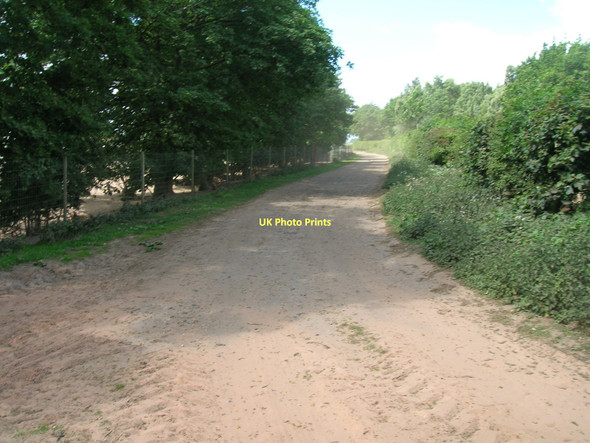Photo 6"x4" Bridleway towards Gate Farm Nutwell c2011