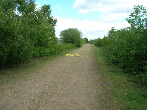 Photo 6"x4" Track in nature reserve Hatfield Woodhouse c2011