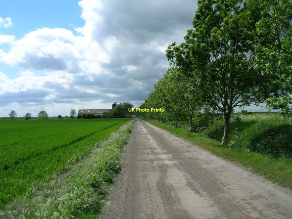 Photo 6"x4" Track to Dikes Marsh Moorends c2011