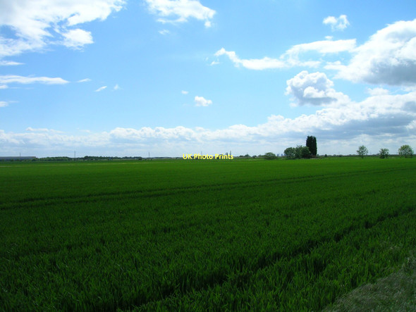 Photo 6"x4" Farmland, Dikes Marsh Moorends c2011