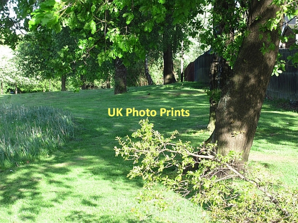 Photo 6"x4" Wooded verge, Alloa Road Alloa c2011