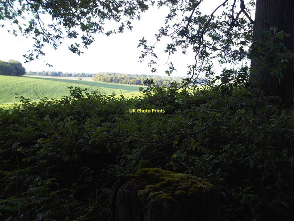 Photo 6"x4" View from the bridleway from Balstone Farm Hannington\/SU5455 c2011