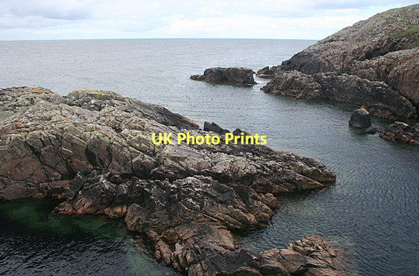Photo 6"x4" Geodha nam Fitheach Fidigeadh c2011