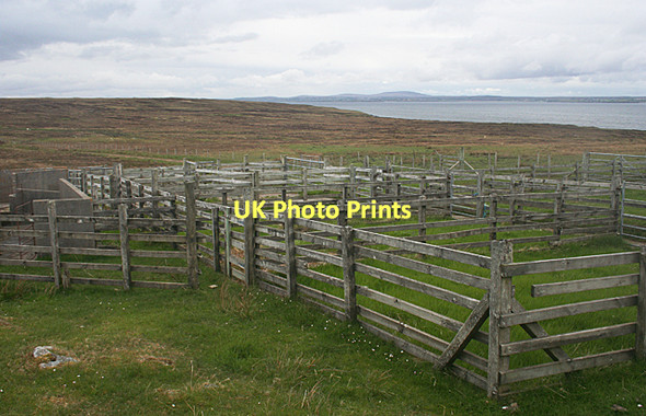 Photo 6"x4" Sheep Pens Brocair c2011