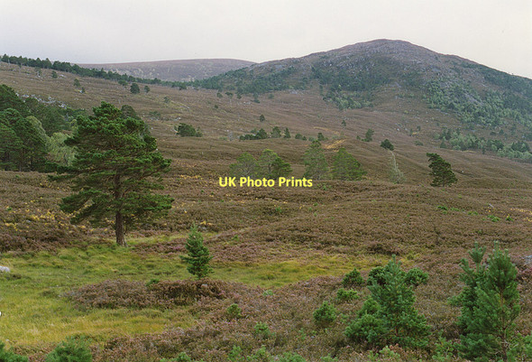 Photo 6"x4" Inshriach moorland Doune\/NH8809 c1992
