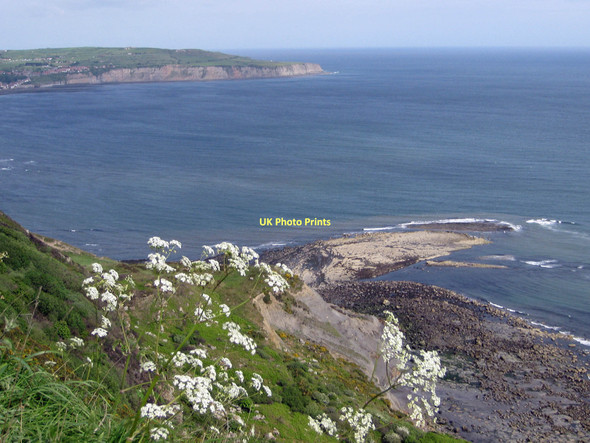Photo 6"x4" Robin Hood's Bay Ravenscar c2011