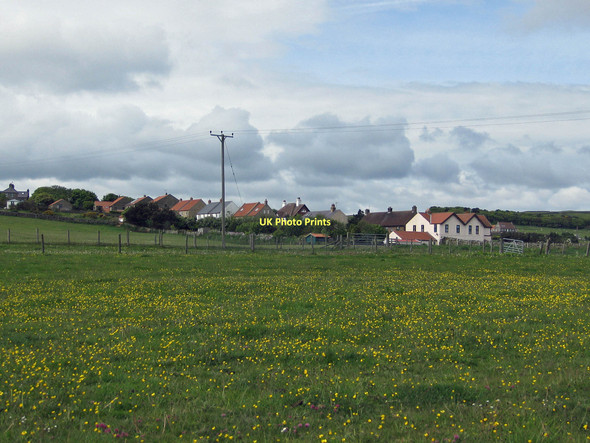 Photo 6"x4" Buttercup meadow Ravenscar c2011
