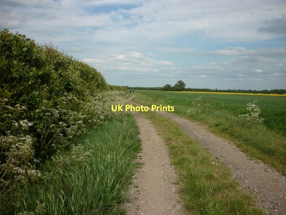 Photo 6"x4" A farm track leading to Epworth Turbary Haxey Carr c2011