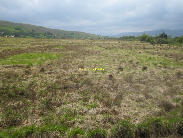 Photo 6"x4" Rough pasture near Carrowmore Liscarney c2011