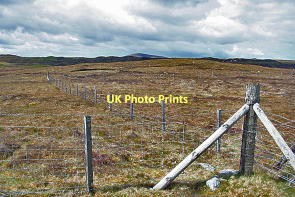 Photo 6"x4" On the Moor Bail' Ur Tholastaidh c2011