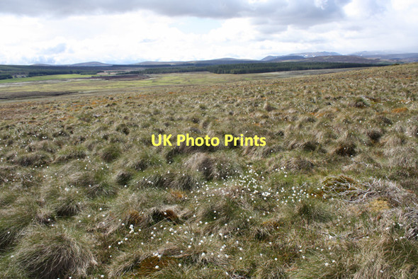 Photo 6"x4" Moorland east of Carn Sleibhe Auchnarrow c2011