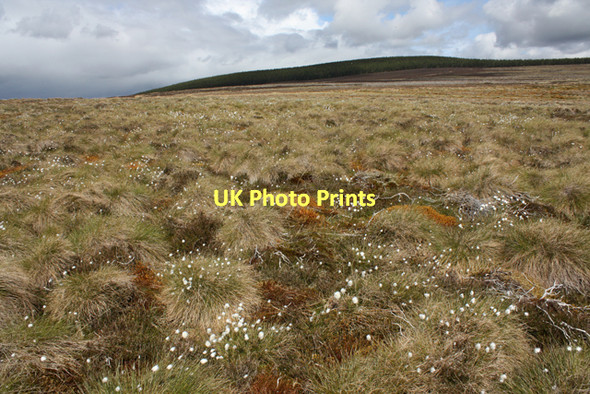 Photo 6"x4" Moorland, Carn De\u00c3\u00b2naid Auchnarrow c2011 P1