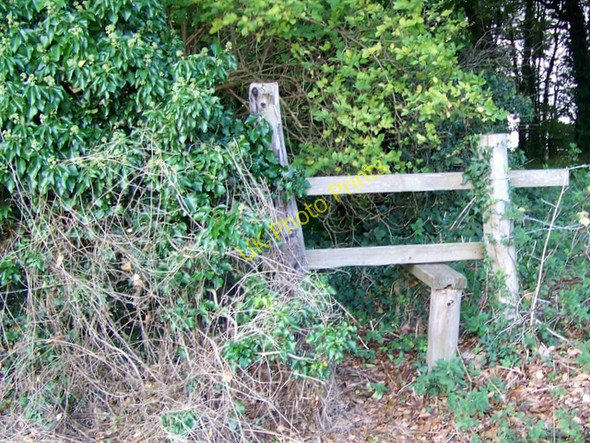 Photo 6"x4" Stile near Homington Homington c2009